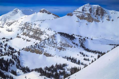 helicopter airport transfers  jackson hole mountain resort fair lifts helicopter services