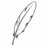 Pluma Plumas Drawings Outline Aves Plume Plumes Gt Contour sketch template