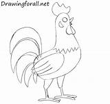 Draw Cock Rooster Children Drawingforall Step sketch template
