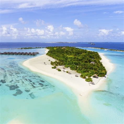 paradise island resort spa maldives maldivler balayi turu