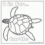 Coloring Sea Turtle Pages Kids Underwater Under Printable Popular Coloringhome sketch template