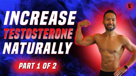 top 10 easy ways to boost testosterone sex drive and muscle mass