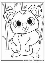 Koalas Iheartcraftythings sketch template