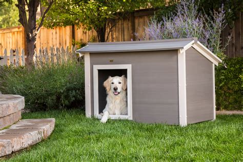 age pet ecoflex thermocore outdoor dog house walmartcom