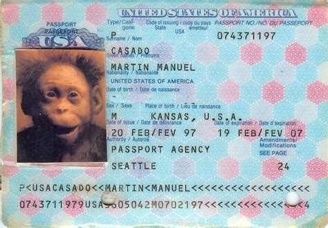 usa passport    apply renew  replace ambergris caye