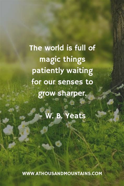 The World Is Full Of Magic Things Patiently Waiting For