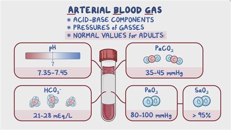 arterial blood gas values bing images nursing stuff p vrogueco