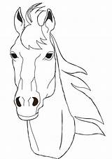 Caballos Pferde sketch template