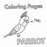 Parrot Cartoon Coloring Book Illustration Vector Bird Graphic Character Drawing Stock Children Preview Dacascas sketch template