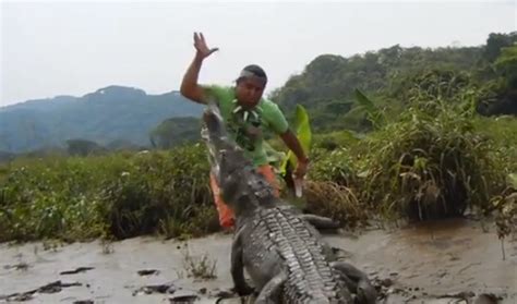 dangerous encounter with a crocodile rtm rightthisminute