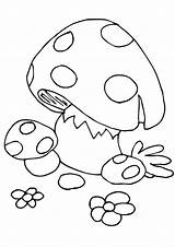 Pilz Mushroom Mushrooms Ausmalbild sketch template