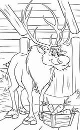 Frozen Coloring Sven Reindeer Pages Kristoff Fun Family sketch template