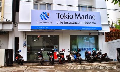 tokio marine life insurance indonesia tmli seputar semarang