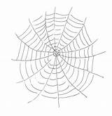 Web Coloring Spider Pages Kids Printable Stencil Websites Drawing Large Articuno Pokemon Bestcoloringpagesforkids Getdrawings Adult Favorite Collection sketch template