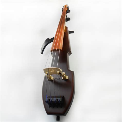 electric upright bass