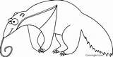 Anteater Coloring Pages sketch template