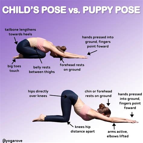 luxus    child pose  yoga yoga  poses