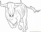 Coloring Taurus Pages Bos Bull Coloringpages101 636px 25kb sketch template