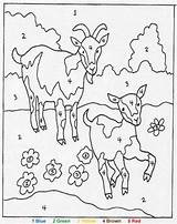 Color Number Coloring Pages Goats Numbers Choose Board Kids Book sketch template