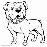 Bulldog American Coloring Pages Drawing Face Dog Bichon Silhouette Sheet Frise Getdrawings Getcolorings Printable Print Col sketch template