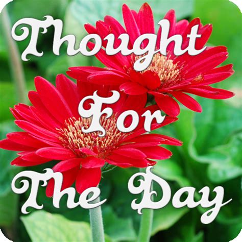 thought   day android apps  google play