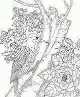 Coloring Nature Pages Scenes Comments sketch template