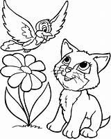 Cat Coloring Pages sketch template
