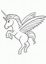 Coloring Pegasus Pages Unicorn Wings Printable Baby Pony Little Print Getcolorings Cute Unicorns Getdrawings Popular Color Pag Coloringhome Colorings sketch template