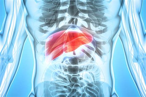 study concludes poor oral health increases  risk  liver cancer todays rdh