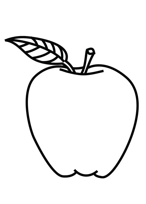 drawing fruit clipart