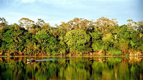 amazon locations   wildlife