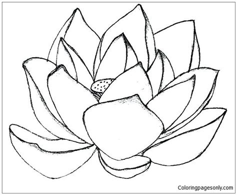 lotus flower mandala  coloring page  printable coloring pages