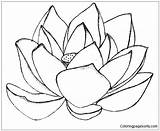 Lotus Mandala Flower Pages Coloring Color Print sketch template