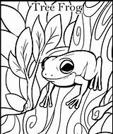 Frog Coloring Pages Tree Plague Template Frogs Clipartmag sketch template