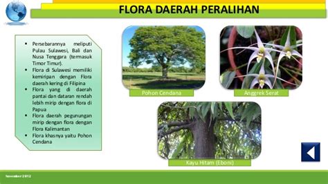 persebaran flora  fauna  indonesia nia amelia
