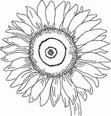 Sunflower Coloring Pages Color Georgia Keeffe Drawing Colouring Kids Printable Adults Flowers Sheets Print Outline Getdrawings Clipart Sunflowers Flower Large sketch template