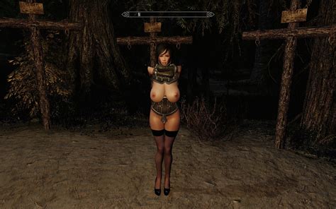 Zaz Animation Pack V8 0 Plus Page 93 Downloads Skyrim Adult And Sex