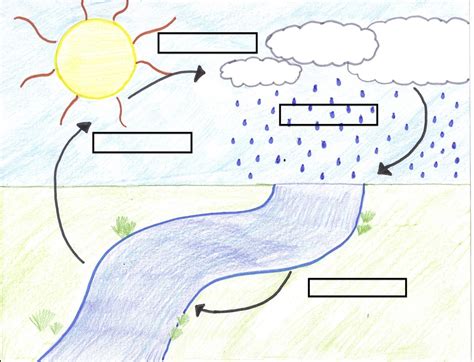 water cycle template