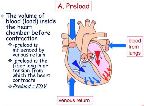 image result  preload heart tension paramedic nurse