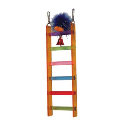 parrot ladder  long