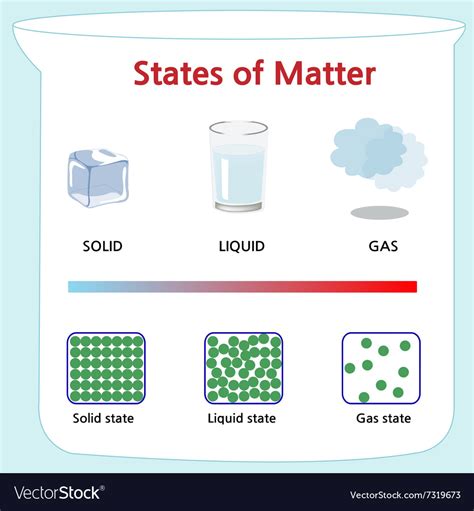 states  matter royalty  vector image vectorstock