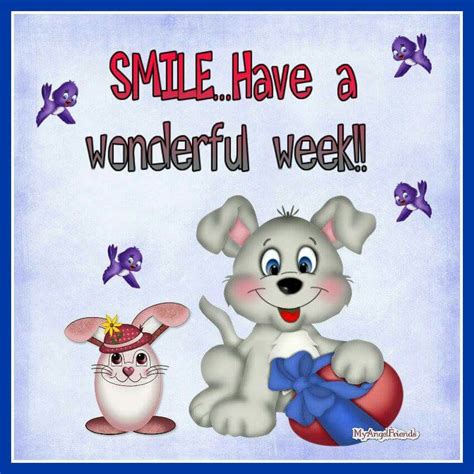 smilehave  wonderful week pictures   images