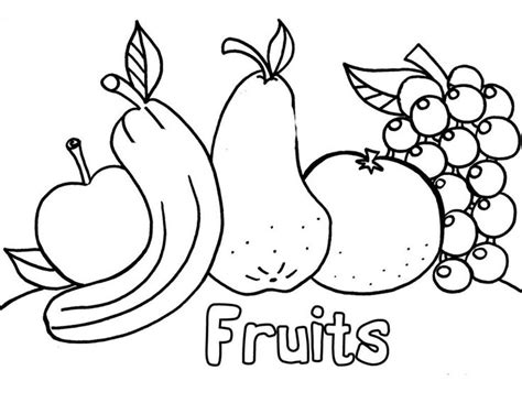 childrens colouring pages  print fruit coloring pages