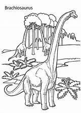 Brachiosaurus Dinosaurs Colorare Ausmalbilder Brontosauro Dinosauri Dinosaurier Sheets Malvorlagen Coloringbay Dinosaurus sketch template