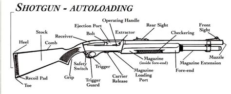 auto loading shotgun nomenclature guns knives   pinterest guns  shotgun