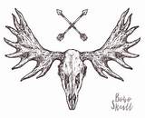 Moose Petpress sketch template