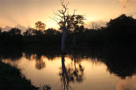 stock photo  africa landscape nature