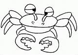 Rac Colorat Desene Planse Crabi Crab Insecte Conteaza Educatia Copii Racul Rama Fise sketch template