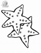 Starfish Coloring Getcolorings Amazing Color sketch template