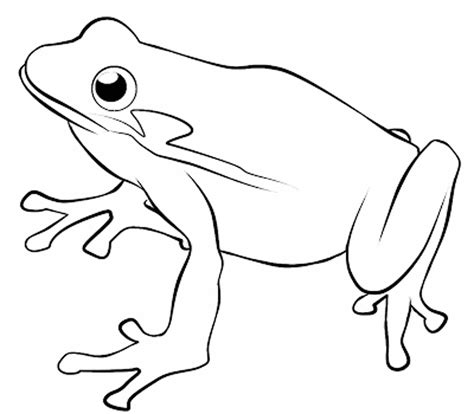 print  frog coloring pages theme  kids